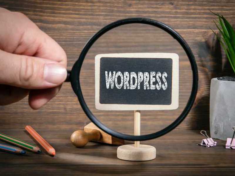 optimizacija Wordpress strani